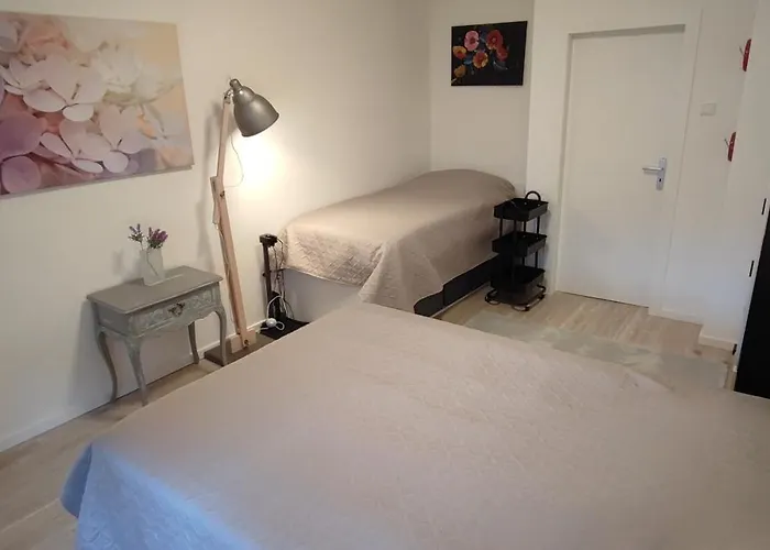 Juwel Im Zentrum Terrasse+garten 75m² 公寓