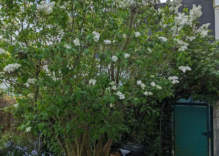 아파트 Juwel Im Zentrum Terrasse+garten 75m² 뮌헨글라드바흐